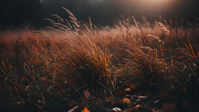 autumns.hues — 3840×2160 anime wallpaper